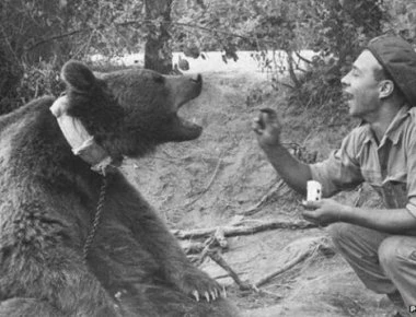 Η μία και μοναδική αρκούδα που είχε αξίωμα στον στρατό (φωτο)